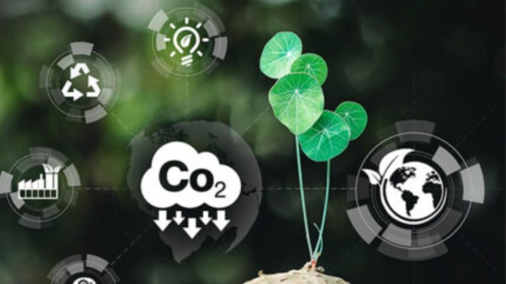 Sustainable Tech: 5 Innovations That Could Make IT Environmentally Friendly 3 AI-Driven Carbon Accounting
