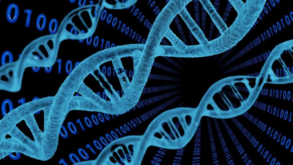 Can DNA Store the Internet? Exploring Molecular Data Storage Technologies 1 Can DNA Store the Internet