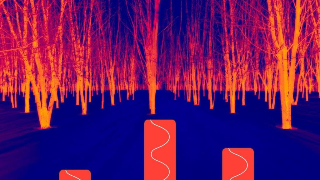 Infrared Innovations: Why Invisible Light Could Be Tech’s Next Big Frontier 2 Infrared Light
