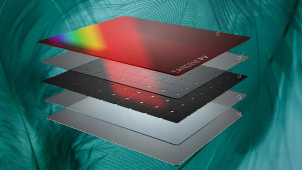 Perovskite Tandem Solar Cells