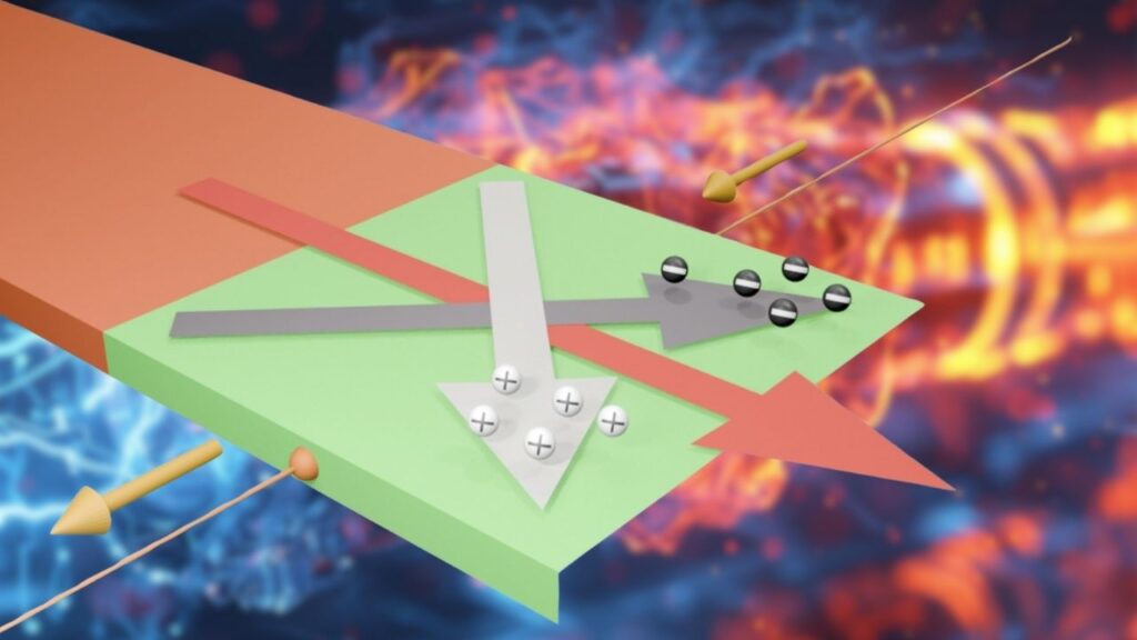 Tungsten Disilicide Semimetals