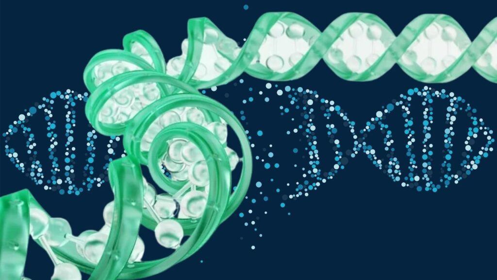 Can DNA Store the Internet? Exploring Molecular Data Storage Technologies 5 Twist Bioscience