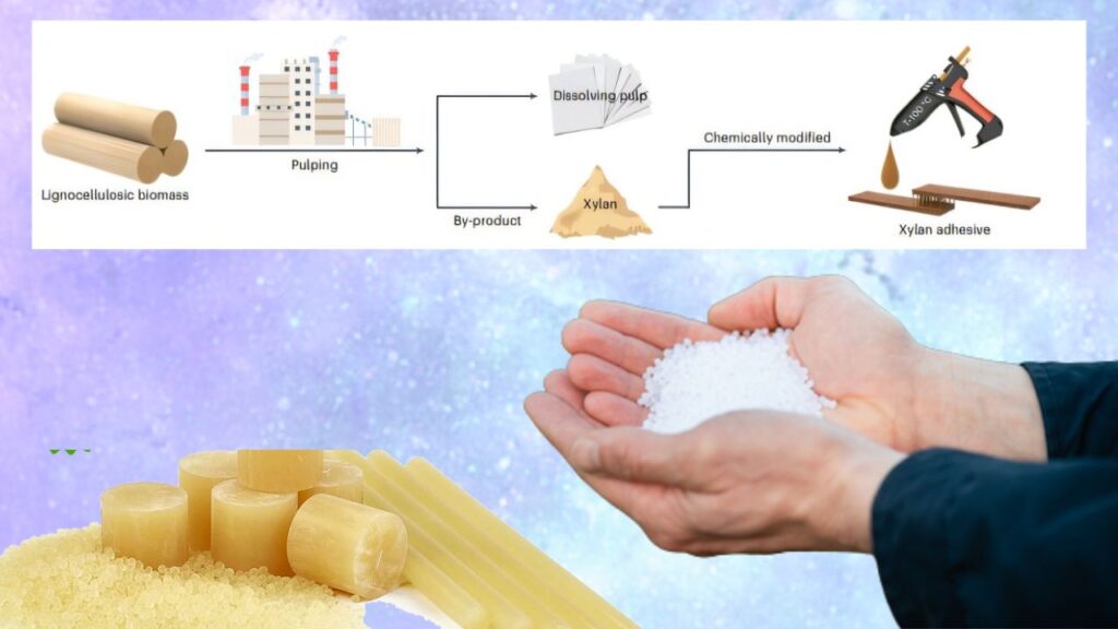 New Bio-Based Hot Glue Made From Industrial Waste Outperforms Traditional Adhesives 1 Bio-Based Hot Glue