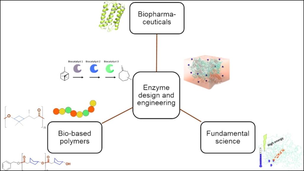 Biocatalytic Upcycling
