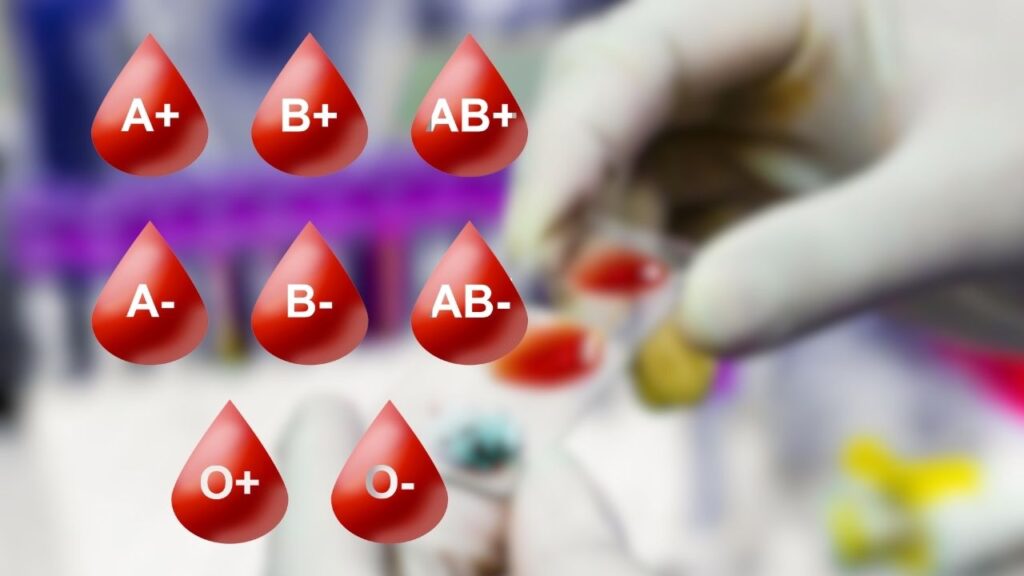 Blood Types The Basics