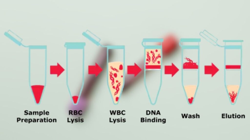 DNA Technology