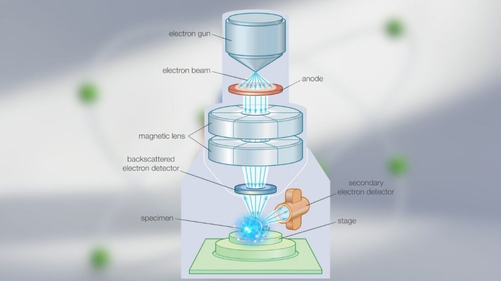 Electron Microscopy