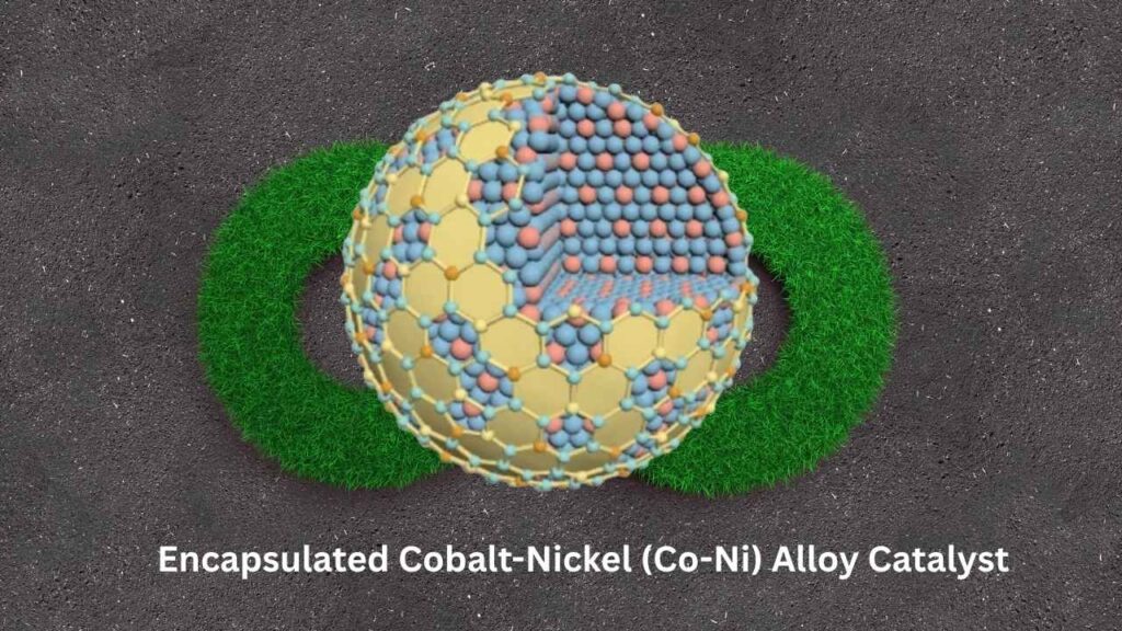 Encapsulated Cobalt-Nickel (Co-Ni) Alloy Catalyst