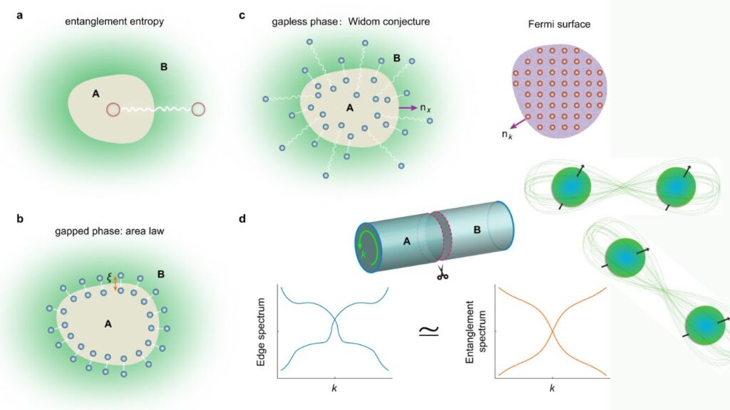 Universal Quantum Law Found In Superfluid Helium Shocks Physicists Worldwide 3 Entanglement Entropy