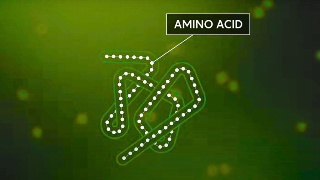 Finding Hidden Proteins and Peptides