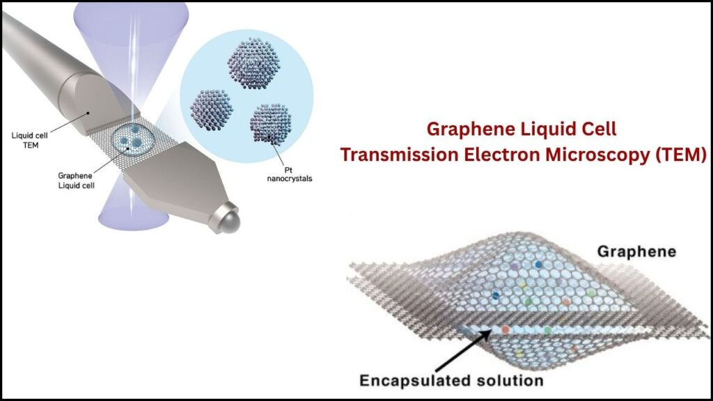 Graphene Liquid Cell Transmission Electron Microscopy (TEM)