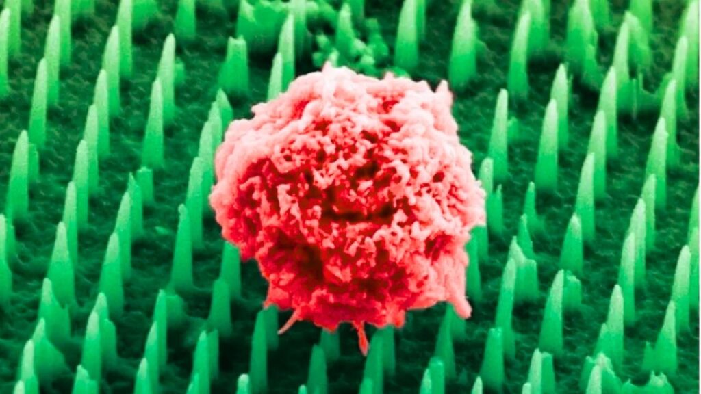 How the Nano-Needle Patch Solves These Problems