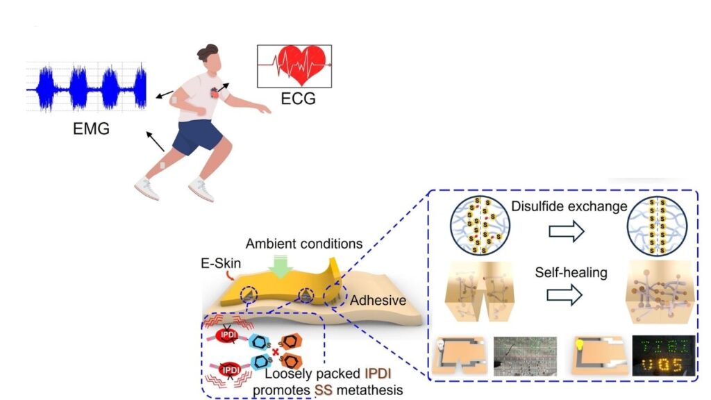 New Smart Material Brings Electronic Skin Closer to Reality for Robots and Human Prosthetics 3 Human-Machine Interfaces