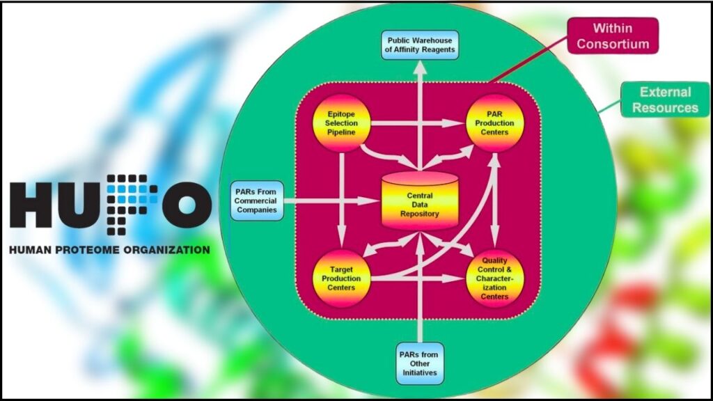 Human Proteome Organization (HUPO) Proteomics Standards Initiative (PSI)