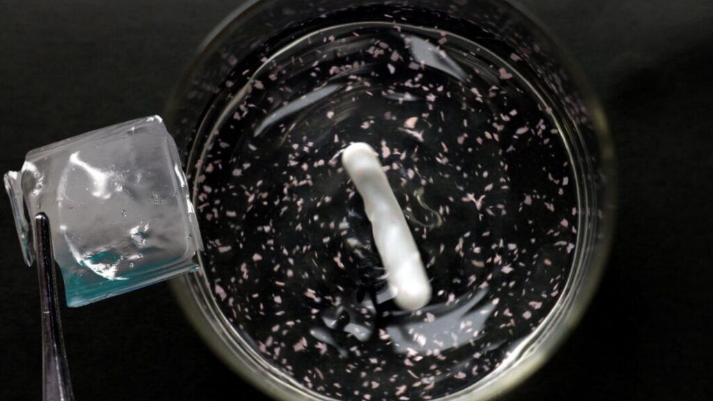 Japan Develops Plastic That Dissolves in Seawater: A Breakthrough Solution to Ocean Plastic Pollution 1 Japan Develops Plastic That Dissolves in Seawater