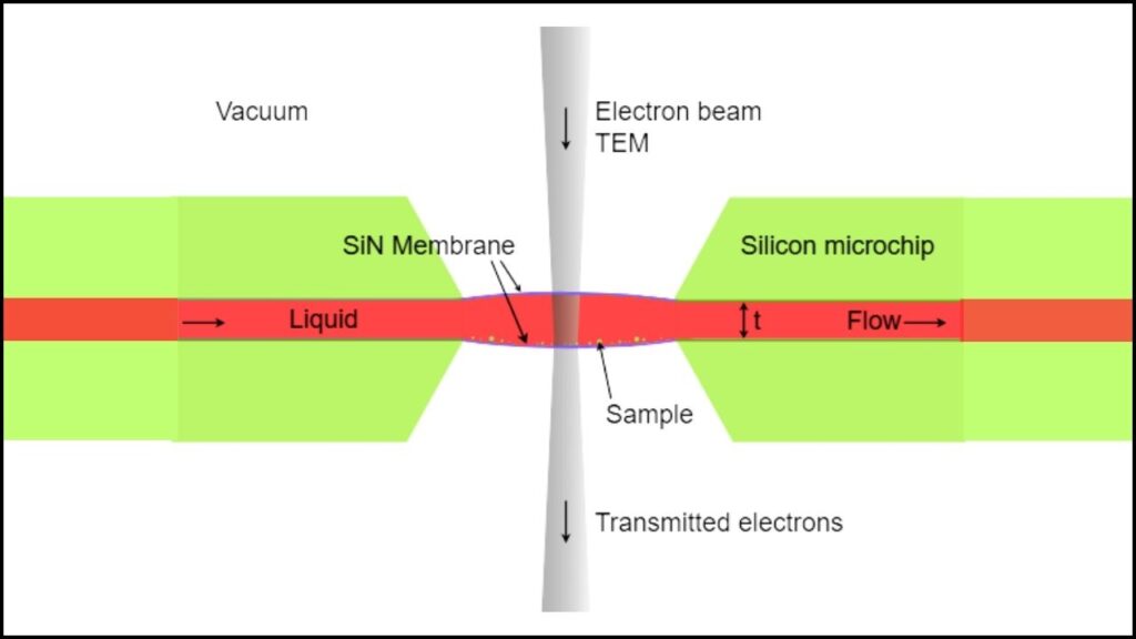 Liquid-Phase Electron Microscopy