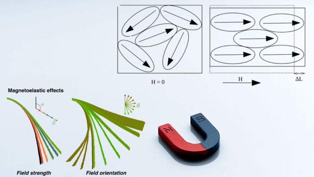 Magnetoelastic Effects