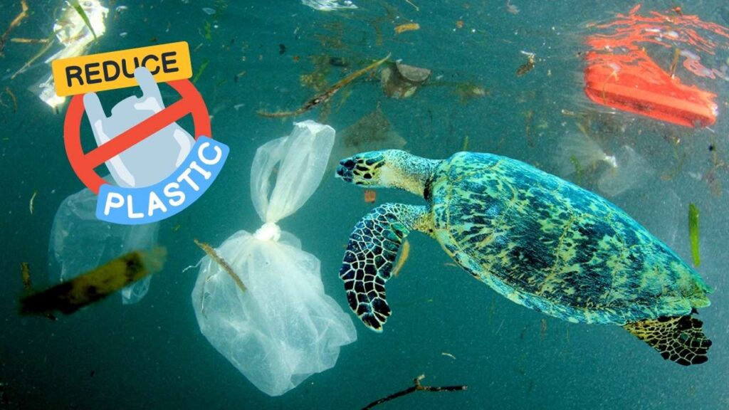 Japan Develops Plastic That Dissolves in Seawater: A Breakthrough Solution to Ocean Plastic Pollution 3 Marine-Safe Plastics