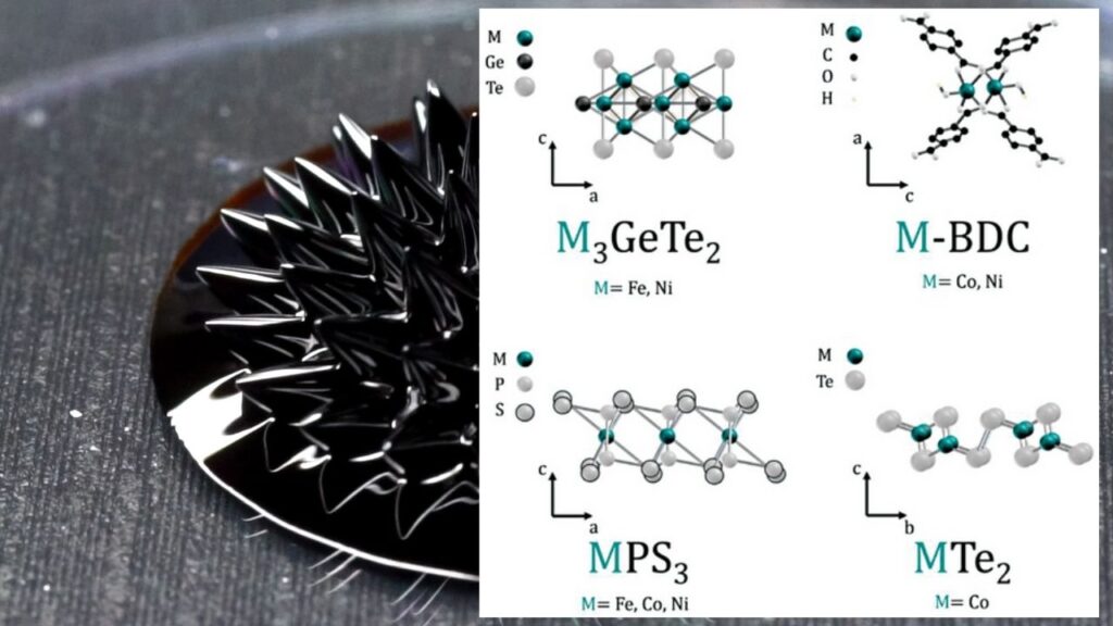 Other Exciting 2D Magnetic Materials