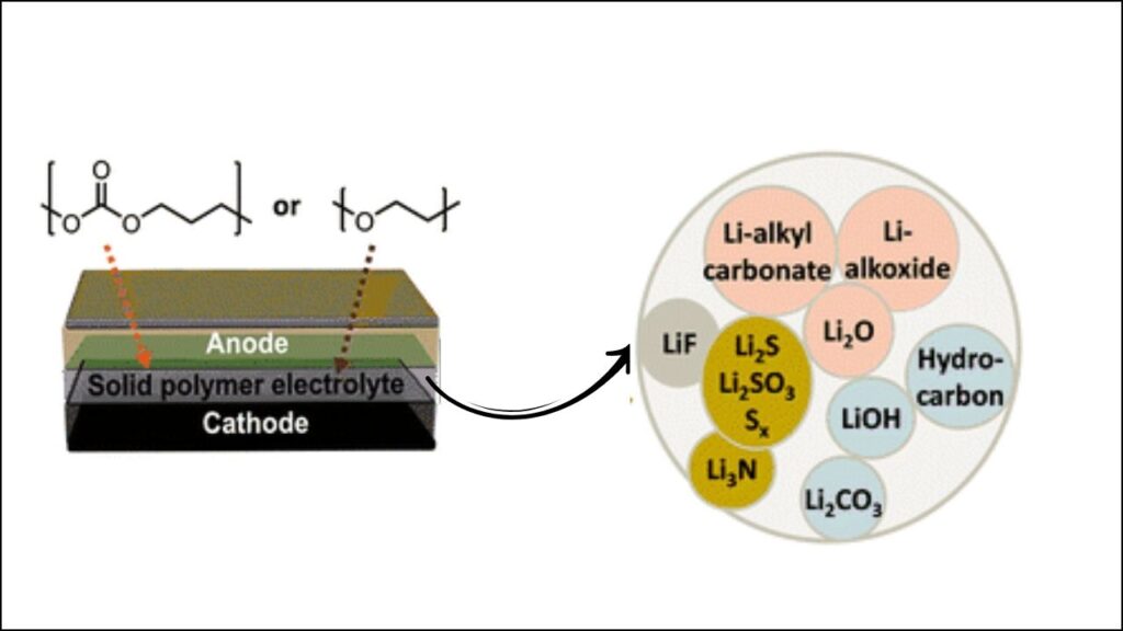 Polymer Electrolyte Interfaces