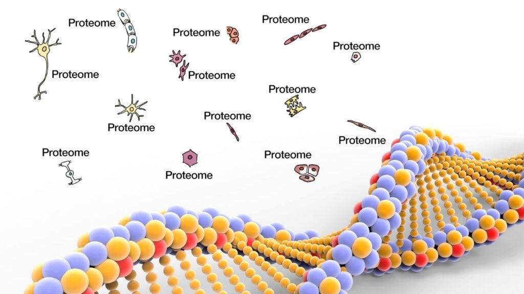 Proteomics Data Standardization