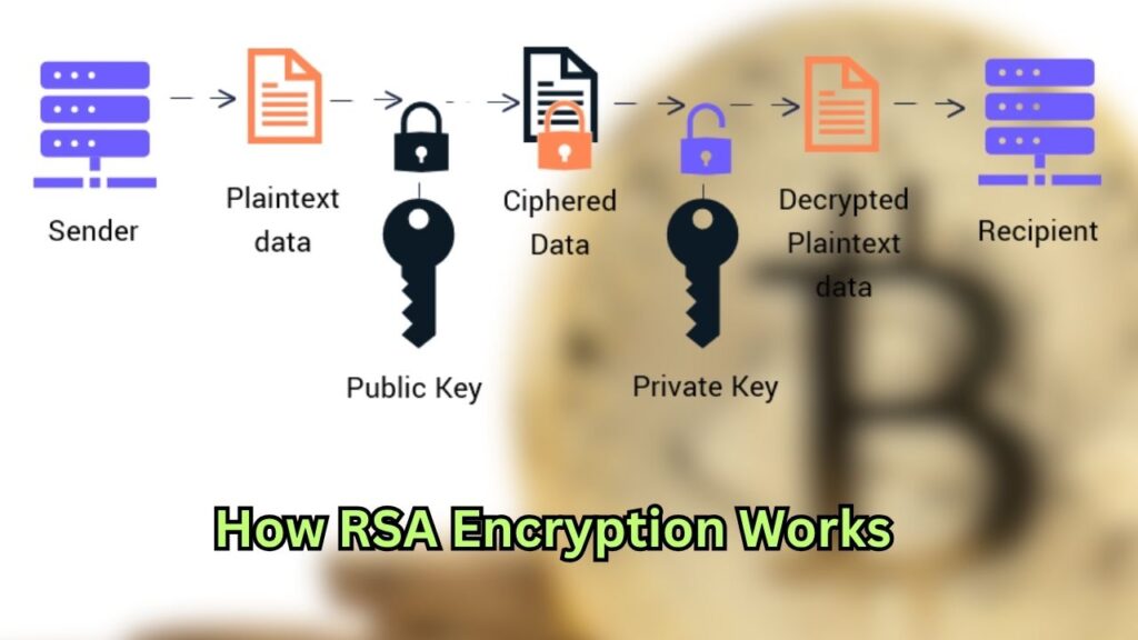 RSA encryption