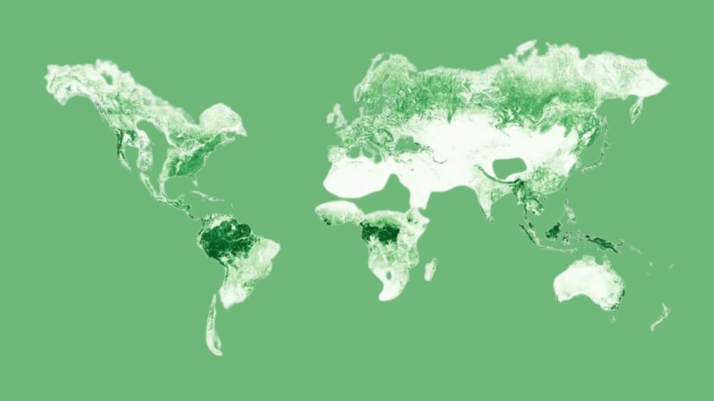 Satellite LiDAR and AI Enable Rapid Forest Carbon Mapping Breakthrough 1 Satellite LiDAR and AI Enable Rapid Forest Carbon Mapping