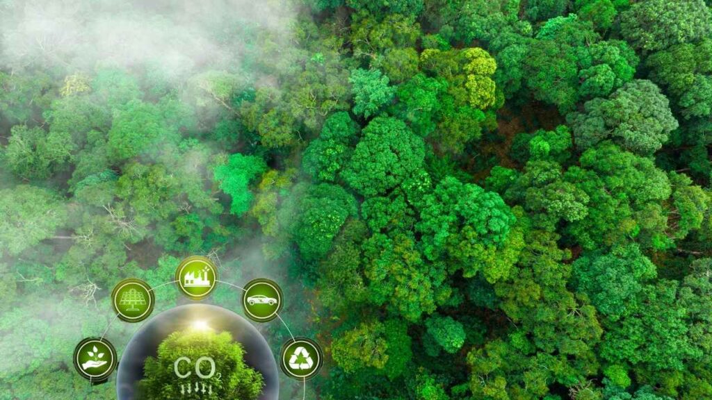 Simple Technique Improves CO₂ Conversion Efficiency
