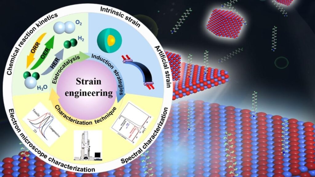Robotic Transfer Technique Enhances Scalability of 2D Materials for Device Integration 4 Strain Engineering