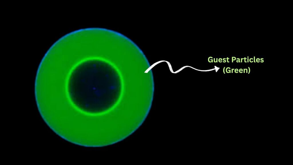 Unknown Type of Molecular Movement