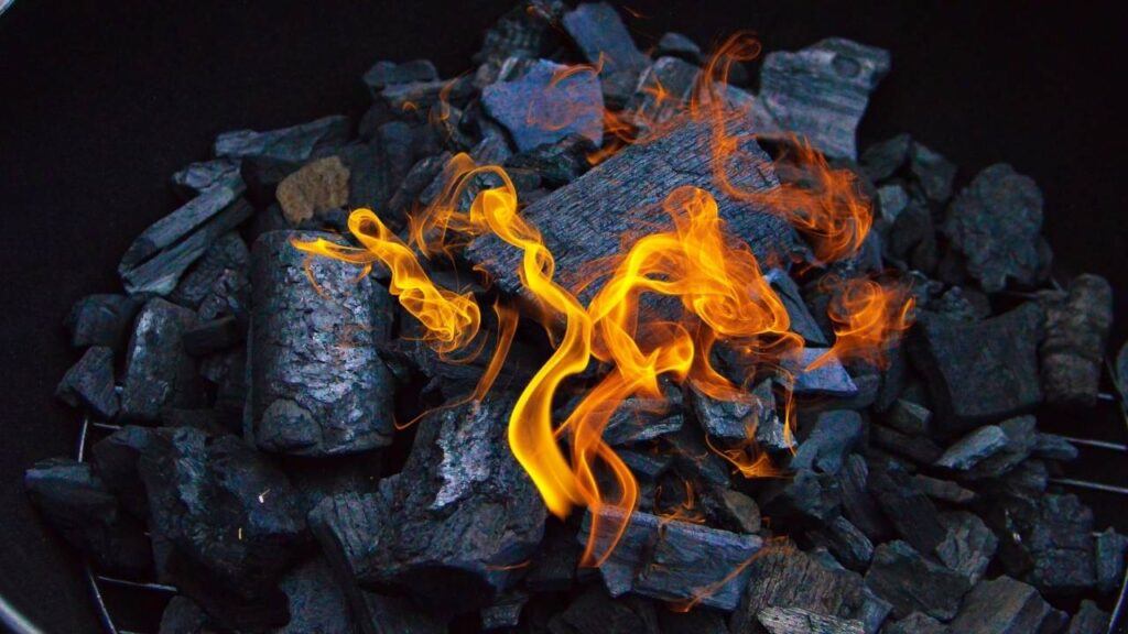 Biocarbon from Agro‑Waste Serves as Sulfur Host in Next‑Gen Li‑S Batteries 3 What is Biocarbon
