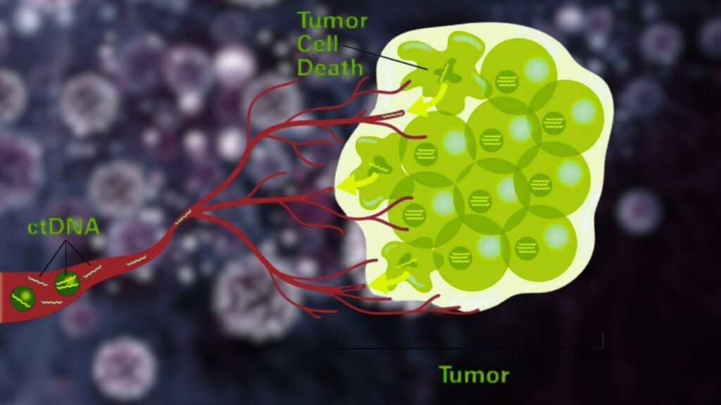 ctDNA