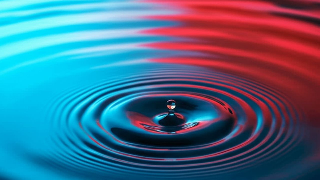 1,000 Quantum Experts Surveyed