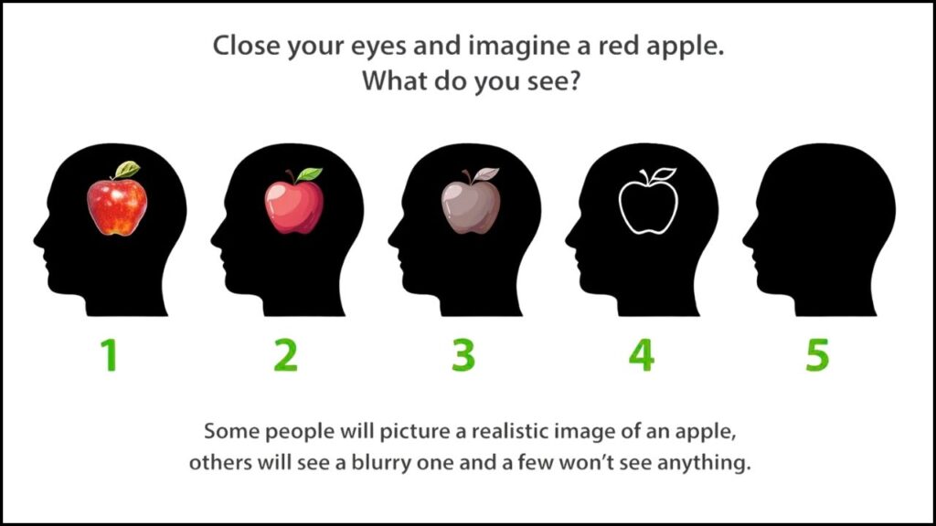 Neuroscientists Decode Visual Signals in Brains of People Without Mental Imagery 2 Aphantasia Test