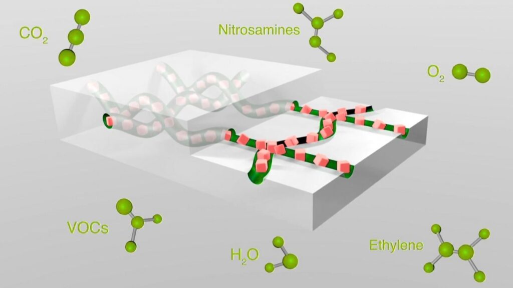 Aptar Introduces Dual-Active Material Science Technology for Pharma: Redefining Drug Stability and Patient Safety 1 Aptar Introduces Dual-Active Material Science Technology for Pharma