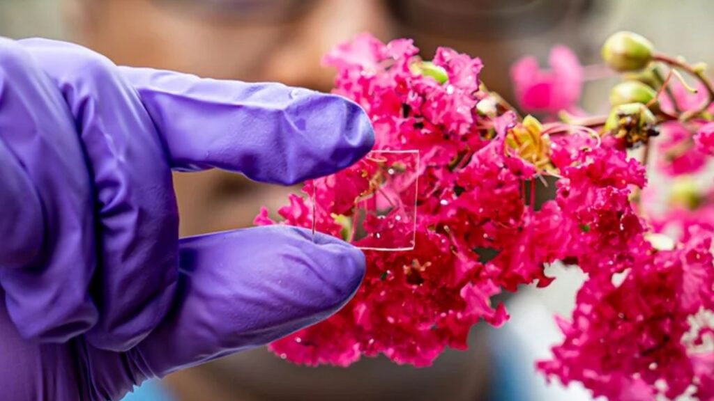 Boron Nitride Coating Promises to Cut Energy Loss in Glass and Improve Insulation 1 Boron Nitride Coating Promises to Cut Energy Loss in Glass