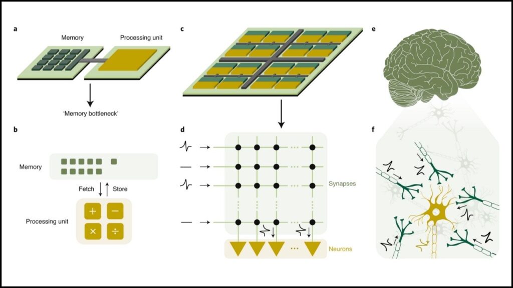 Israeli Scientists Reveal the World’s First Brain-Like AI Chip That Teaches Itself 3 Brain-Inspired Network