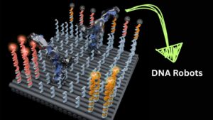 Breakthrough in DNA Machines