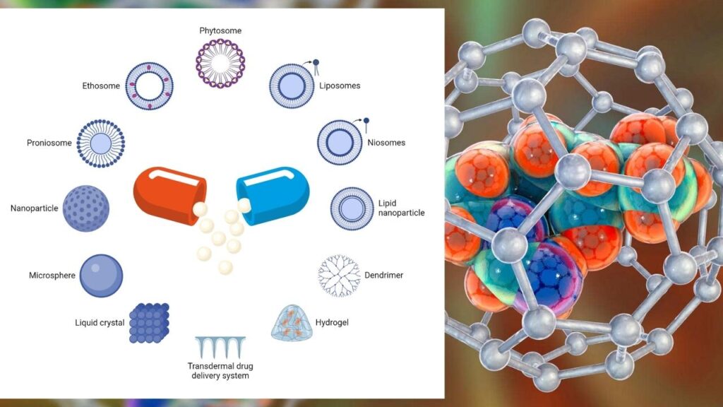 Building the Drug Delivery System