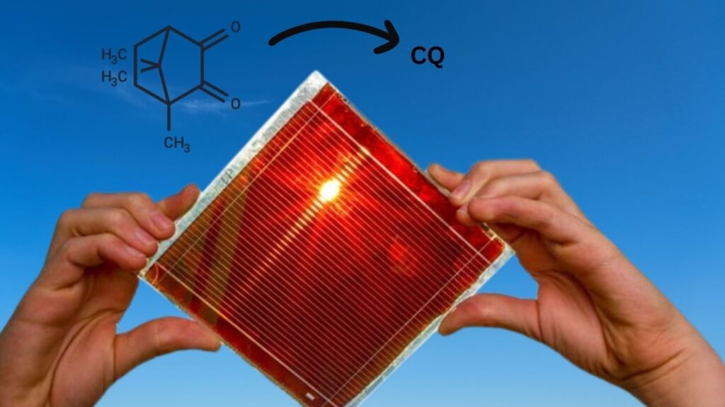 Camphor Additive Enhances the Performance of Perovskite Solar Cells