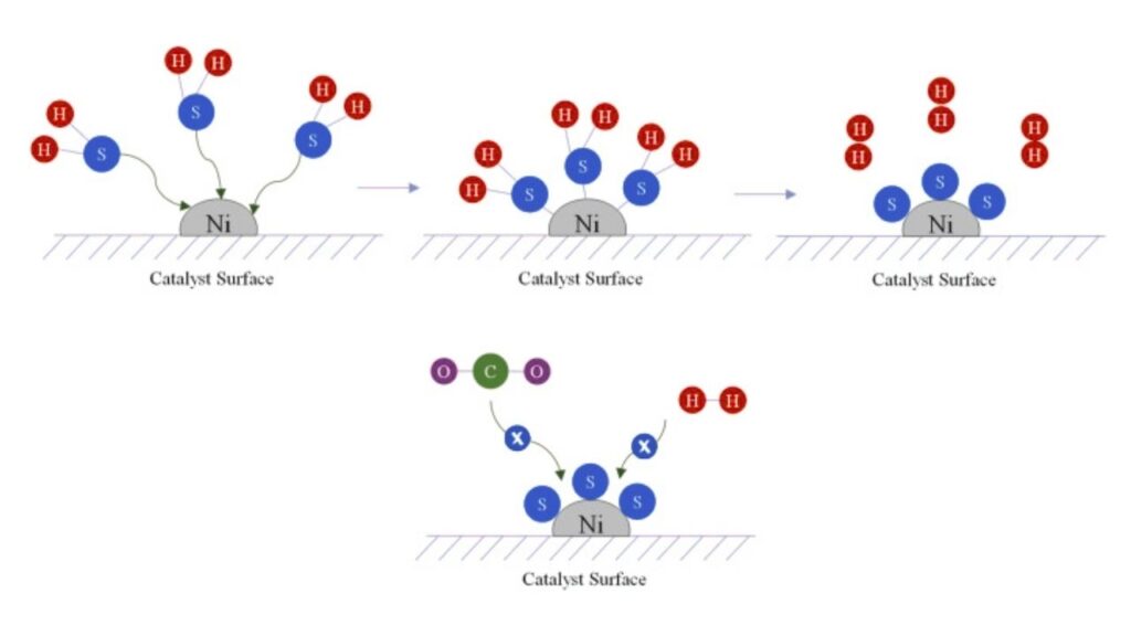Engineered Ruthenium Catalysts: A Sustainable Revolution for Hydrogen and Ammonia 5 Catalyst Poisoning
