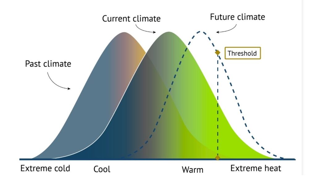 Scientists Link European Heatwave Deaths to Fossil Fuel Emissions 2 Climate Attribution Science