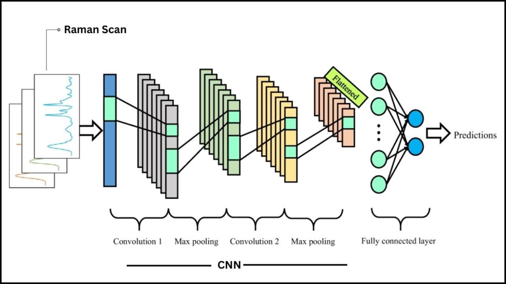 Convolutional Neural Network