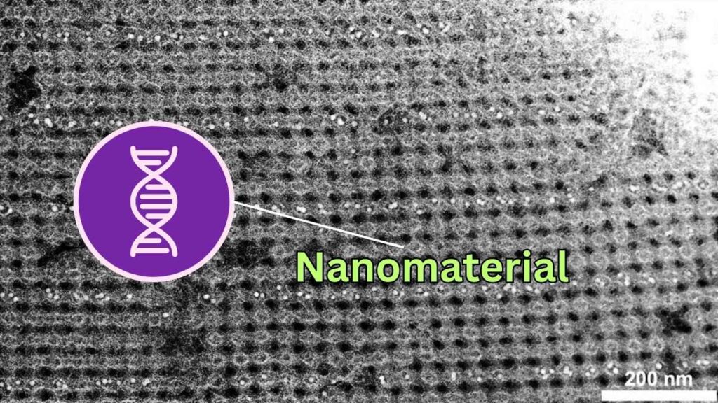 DNA-Based 3D Materials