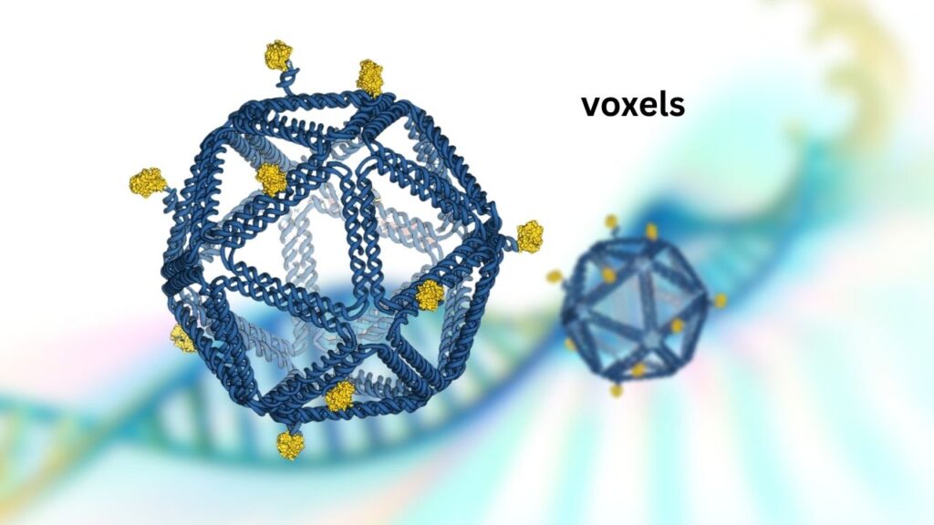 DNA Origami 