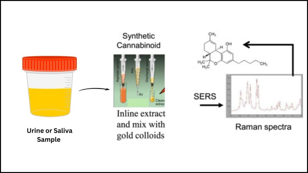 Deep Learning Boosts Raman Spectroscopy