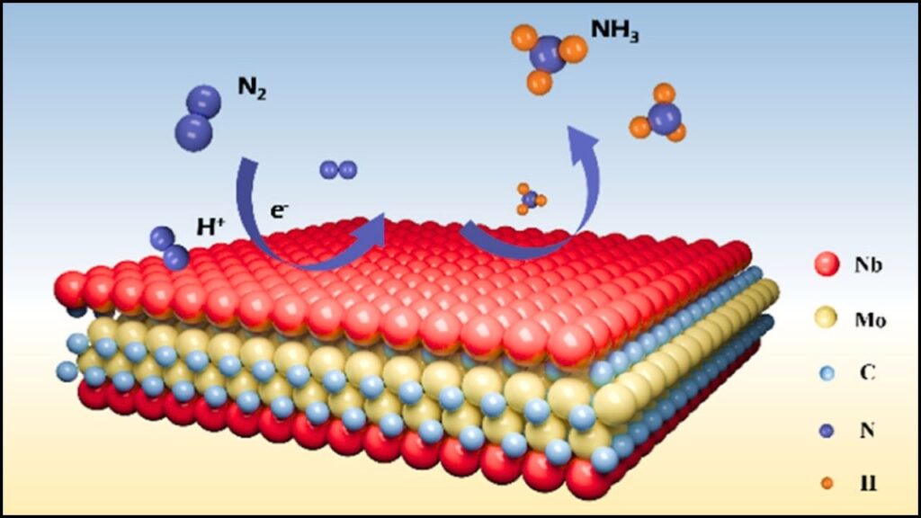 Scientists Explore the Potential of MXenes in Revolutionizing Sustainable Ammonia Production 3 Electrocatalysts