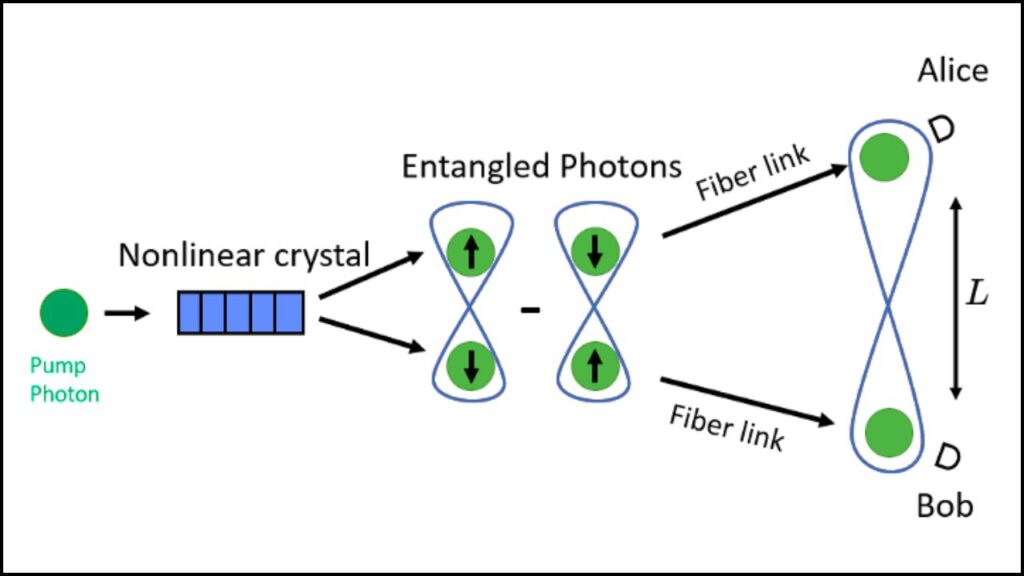 Quantum Network Meets Einstein’s Gravity: Can Science Solve Its Biggest Mystery? 4 Enter the Quantum Network