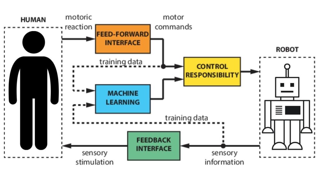 From Conventional Robots to Humanoids