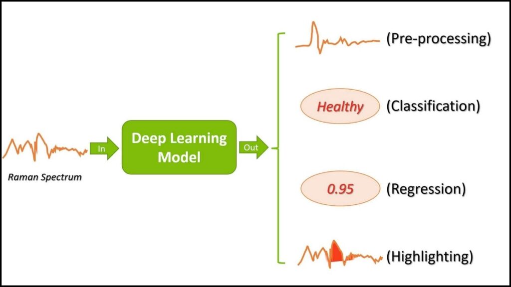 How Deep Learning Supercharges Raman Spectroscopy